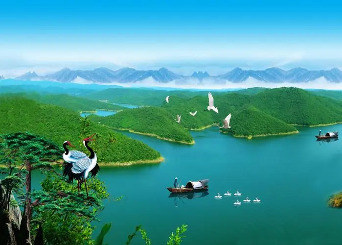 数字化独特